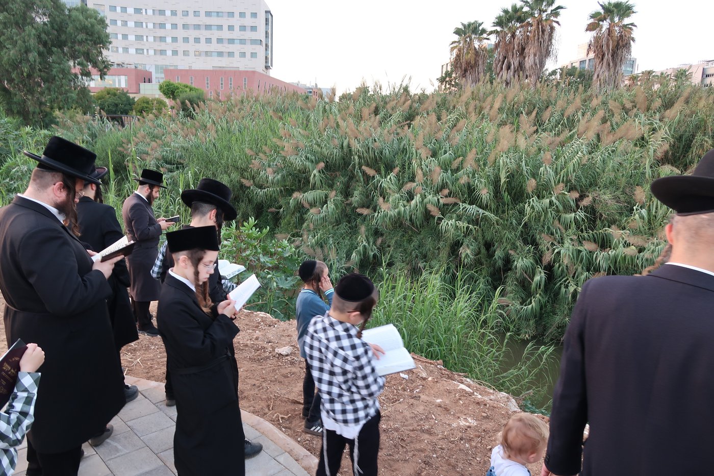 האדמו"ר ממיאלען שליט"א בתשליך | צילום: י. פריד
