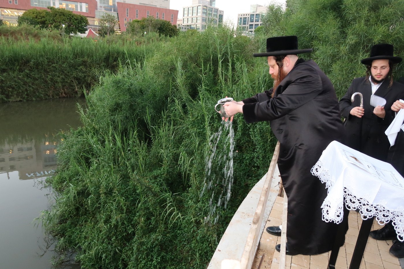 האדמו"ר ממיאלען שליט"א בתשליך | צילום: י. פריד