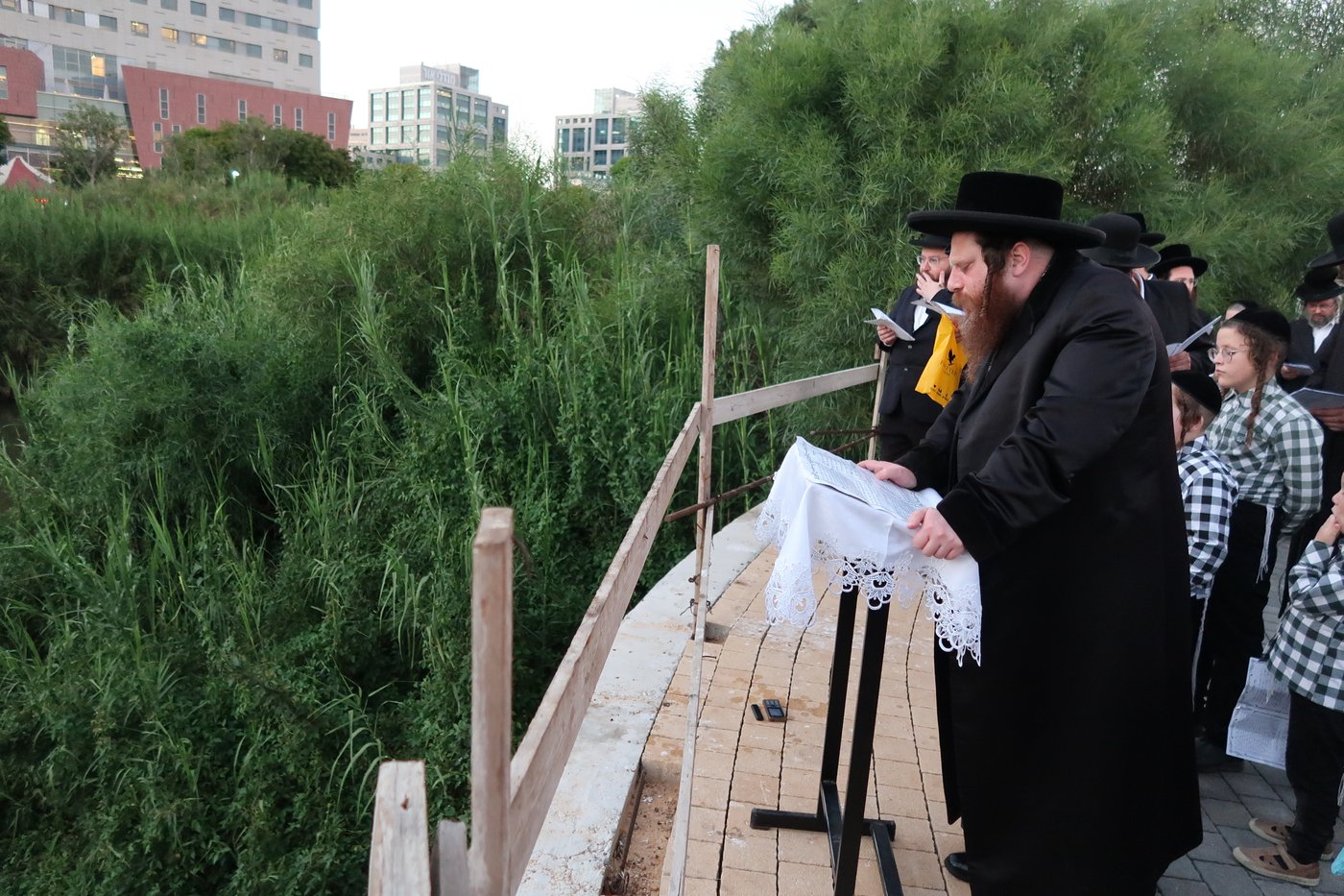 האדמו"ר ממיאלען שליט"א בתשליך | צילום: י. פריד