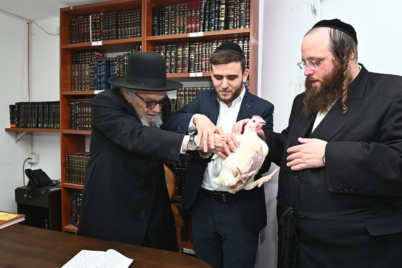 הגאון רבי משה הלל הירש שליט"א במנהג הכפרות