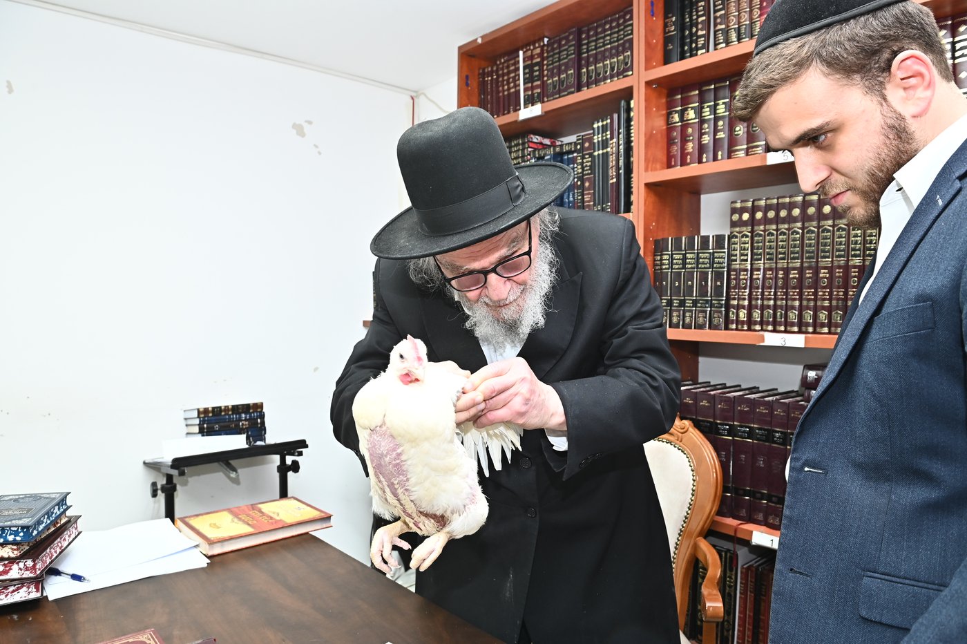 הגאון רבי משה הלל הירש שליט"א במנהג הכפרות