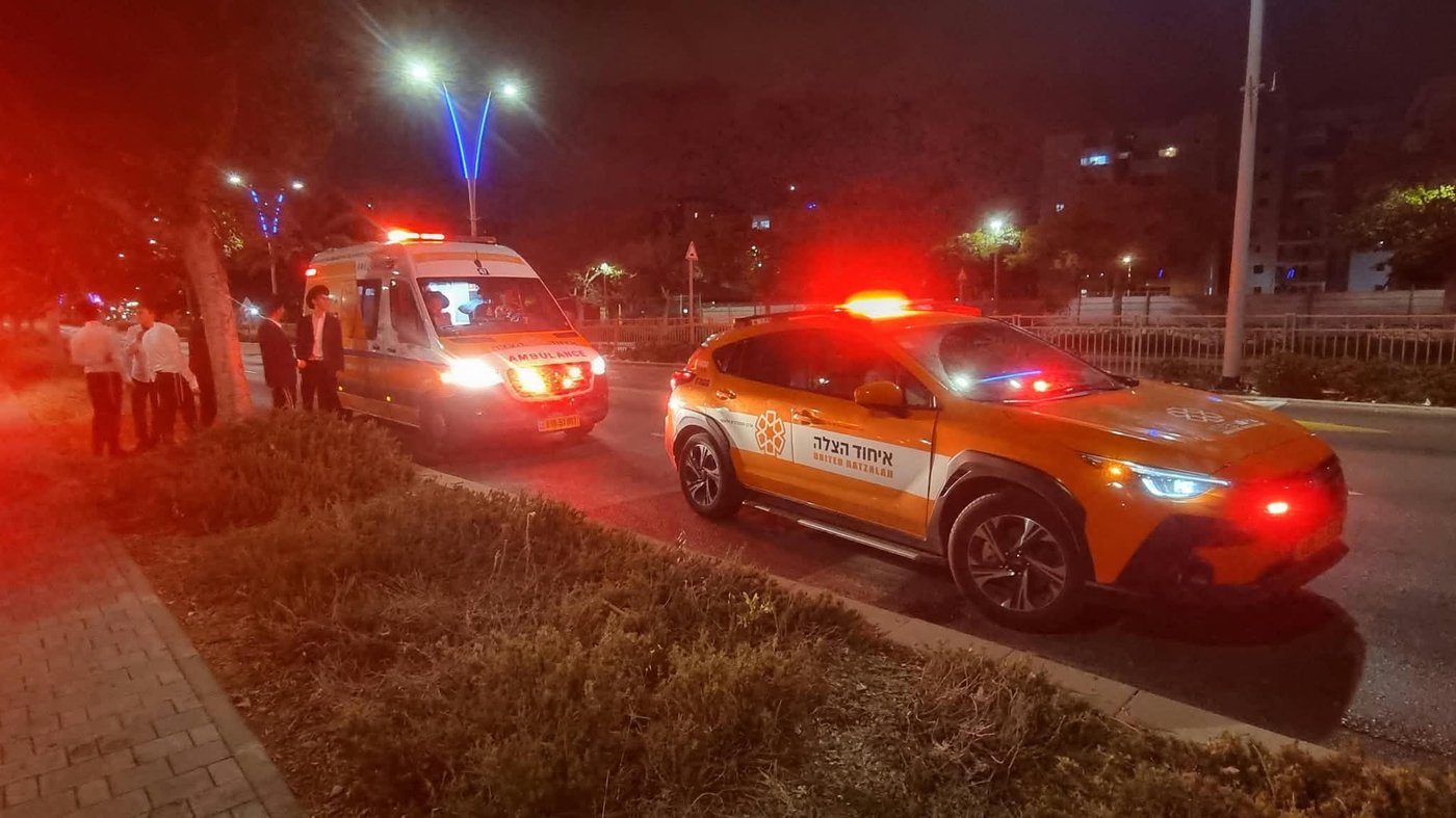 בחור ישיבה בן 17 הוכש מנחש ארסי באשדוד