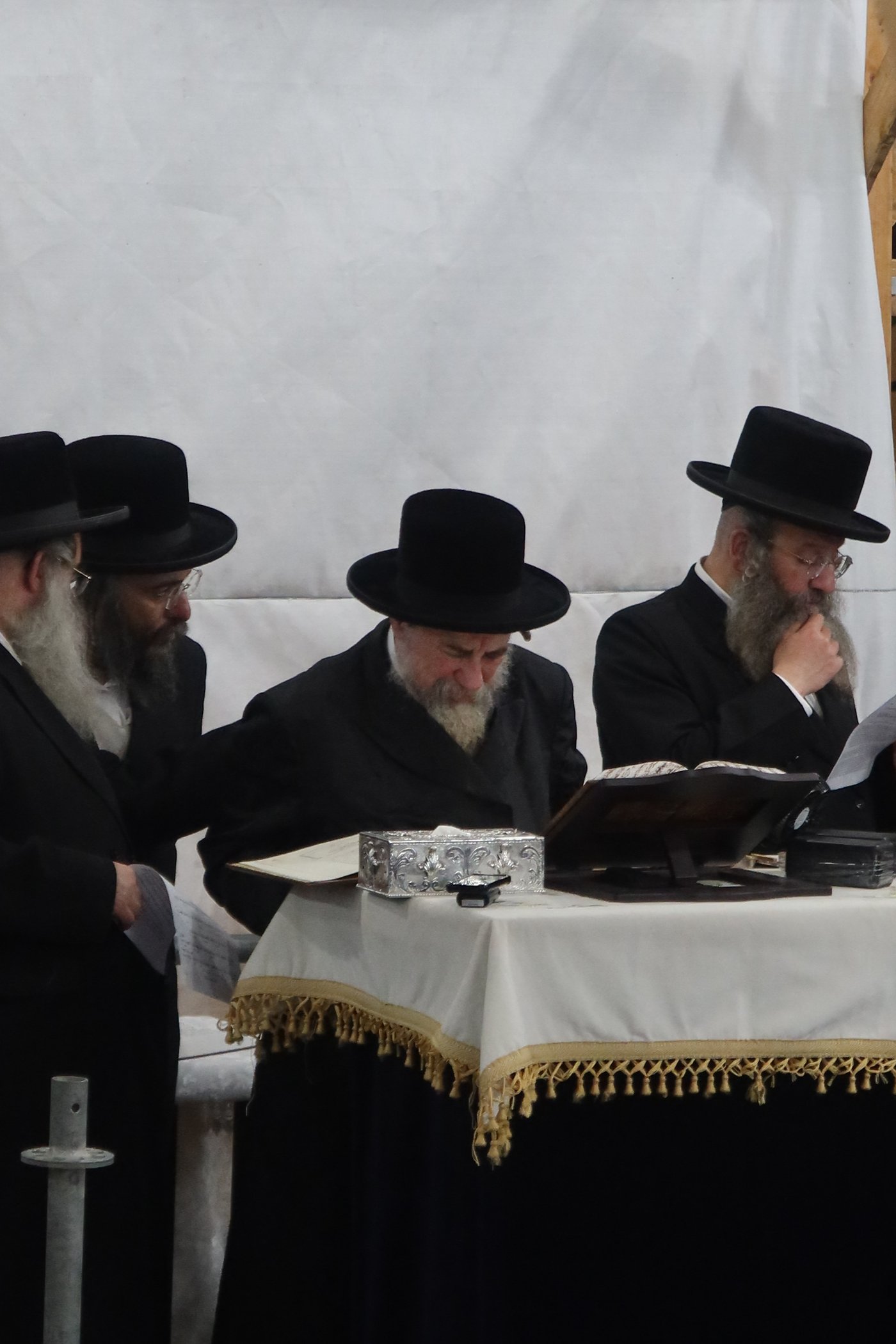 האדמו"ר מרחמסטריווקא שליט"א בתשליך | צילום: מאיר שמחה שטיגליץ