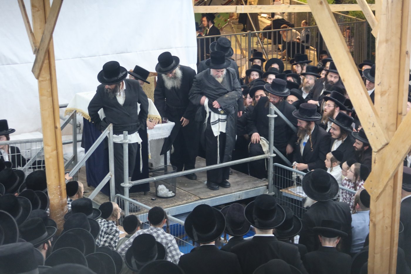 האדמו"ר מרחמסטריווקא שליט"א בתשליך | צילום: מאיר שמחה שטיגליץ