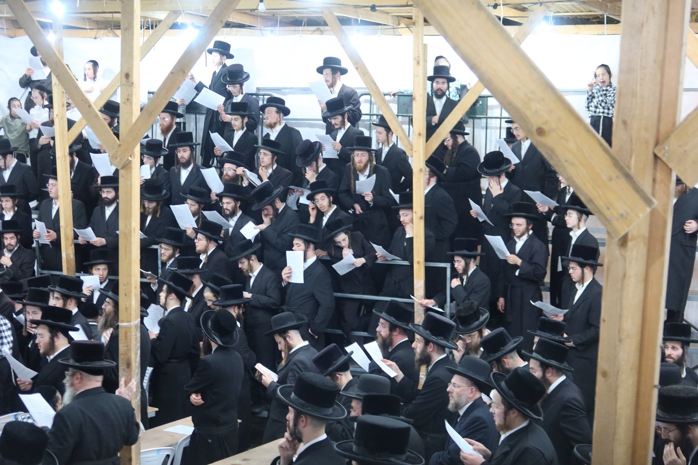 האדמו"ר מרחמסטריווקא שליט"א בתשליך | צילום: מאיר שמחה שטיגליץ