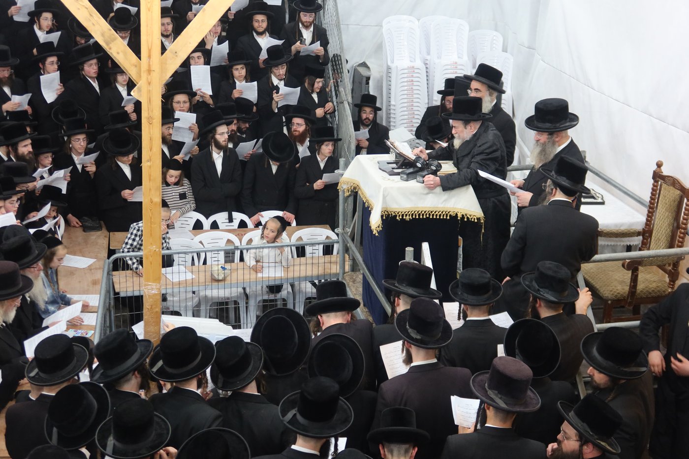 האדמו"ר מרחמסטריווקא שליט"א בתשליך | צילום: מאיר שמחה שטיגליץ