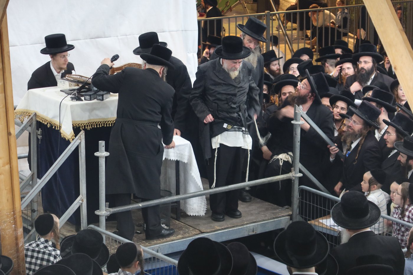 האדמו"ר מרחמסטריווקא שליט"א בתשליך | צילום: מאיר שמחה שטיגליץ