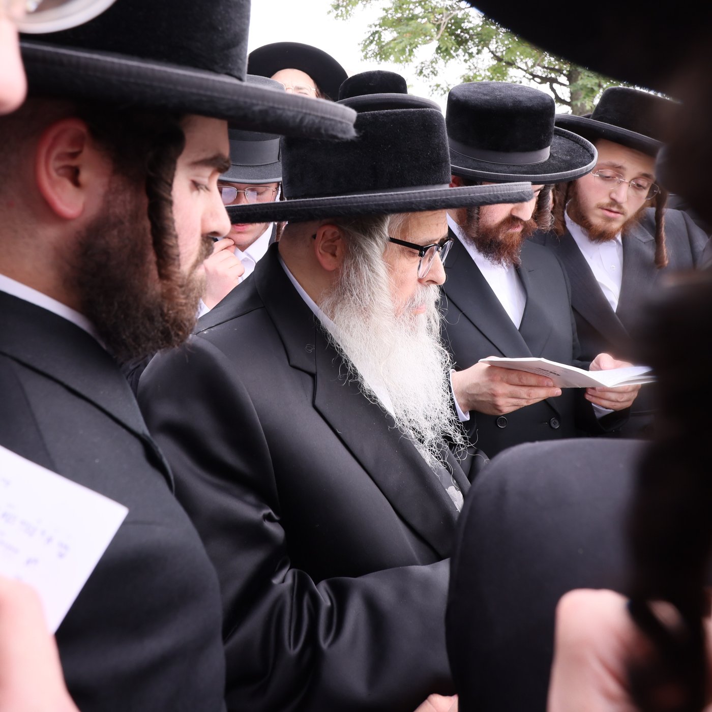 האדמו"ר מסאטמר שליט"א בתשליך