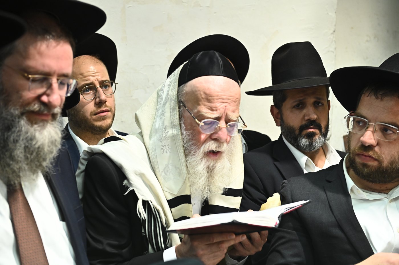 הגרמ"צ ברגמן במירון