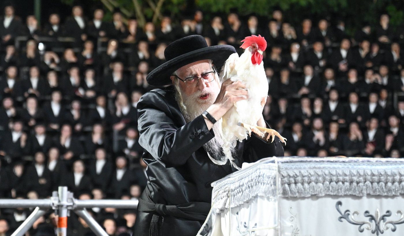 האדמו"ר מצאנז במנהג כפרות | צילום: משה גולדשטיין