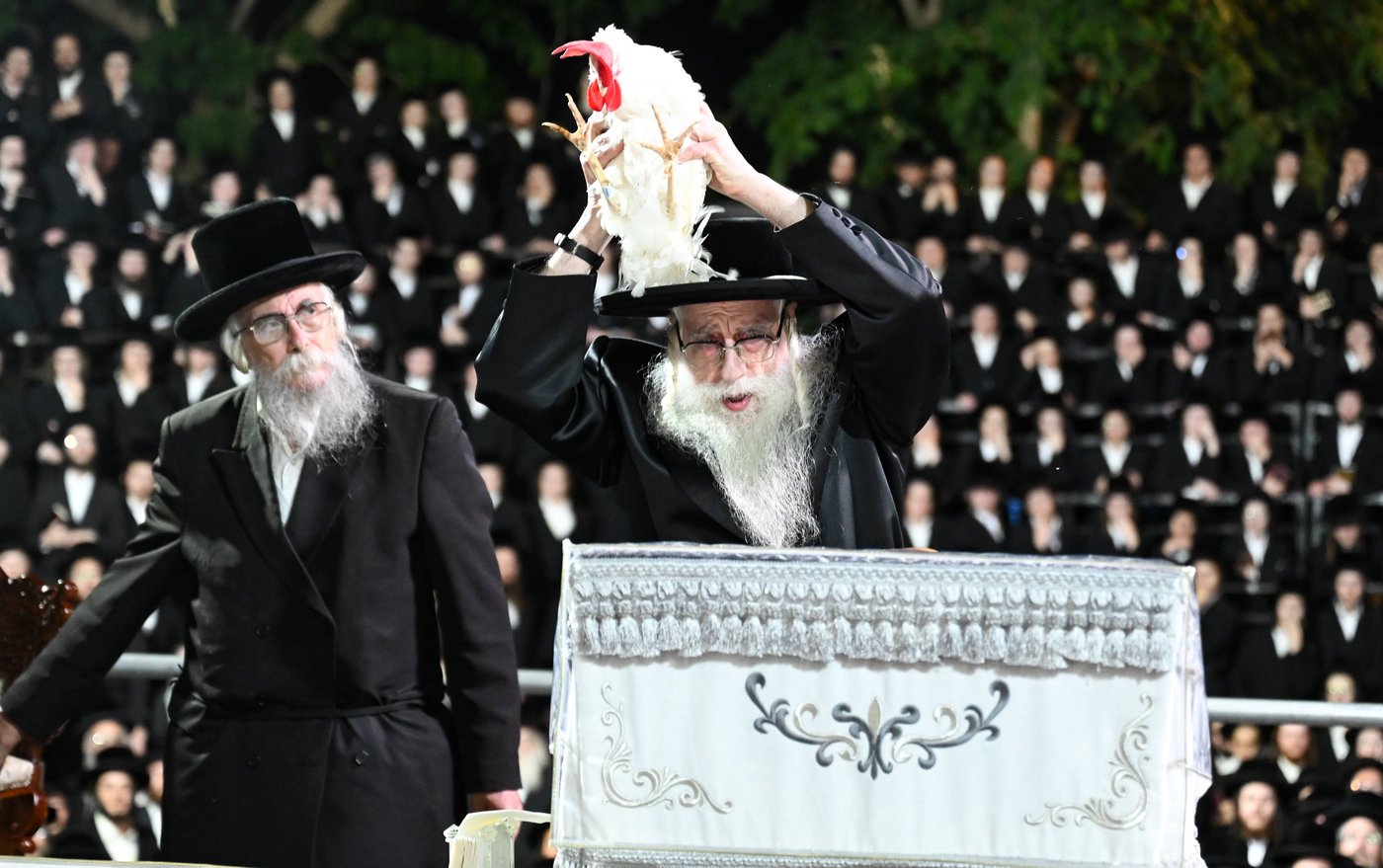 האדמו"ר מצאנז במנהג כפרות | צילום: משה גולדשטיין