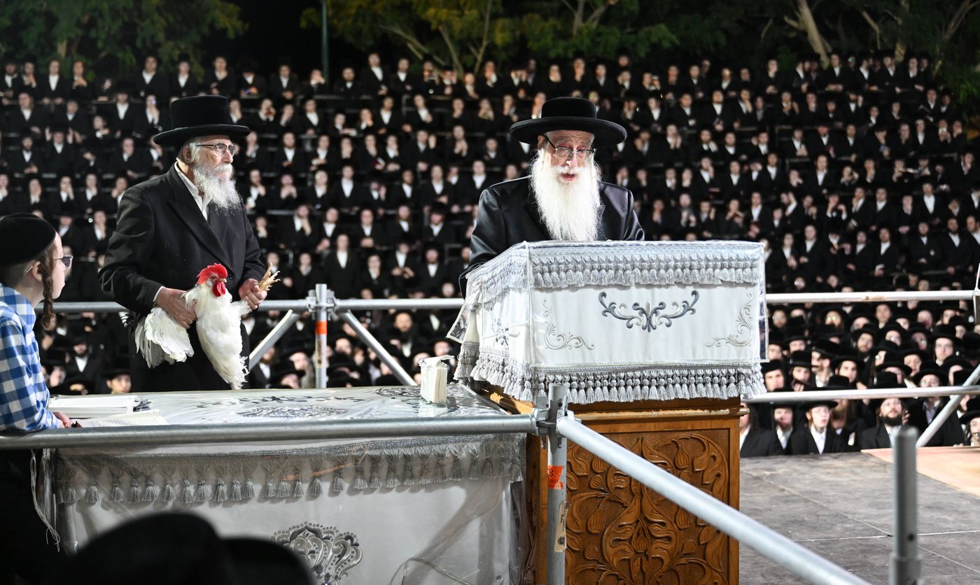 האדמו"ר מצאנז במנהג כפרות | צילום: משה גולדשטיין