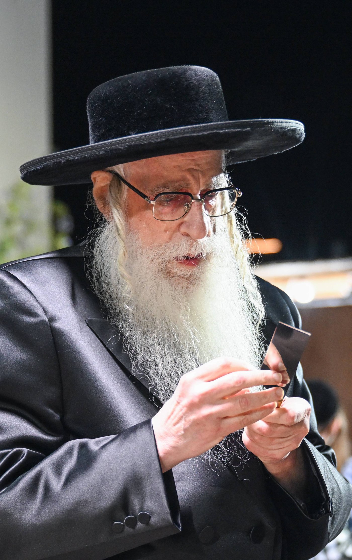 האדמו"ר מצאנז במנהג כפרות | צילום: משה גולדשטיין