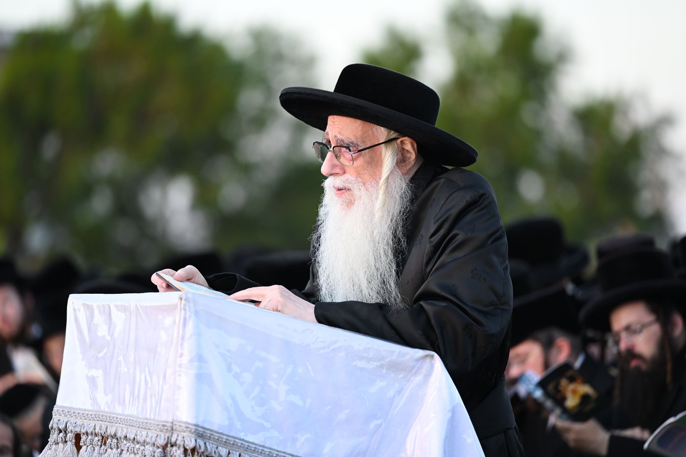 האדמו"ר מצאנז בתשליך | צילום: משה גולדשטיין