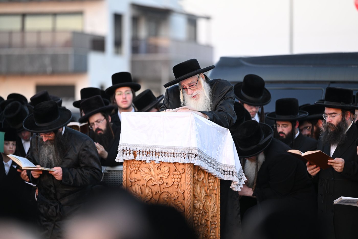 האדמו"ר מצאנז בתשליך | צילום: משה גולדשטיין