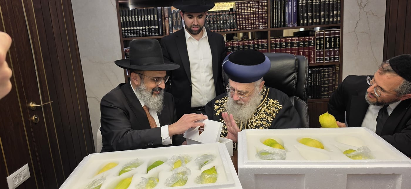הראשון לציון הגאון רבי יצחק יוסף שליט"א בבדיקת אתרוגים | צילום: באדיבות המצלם