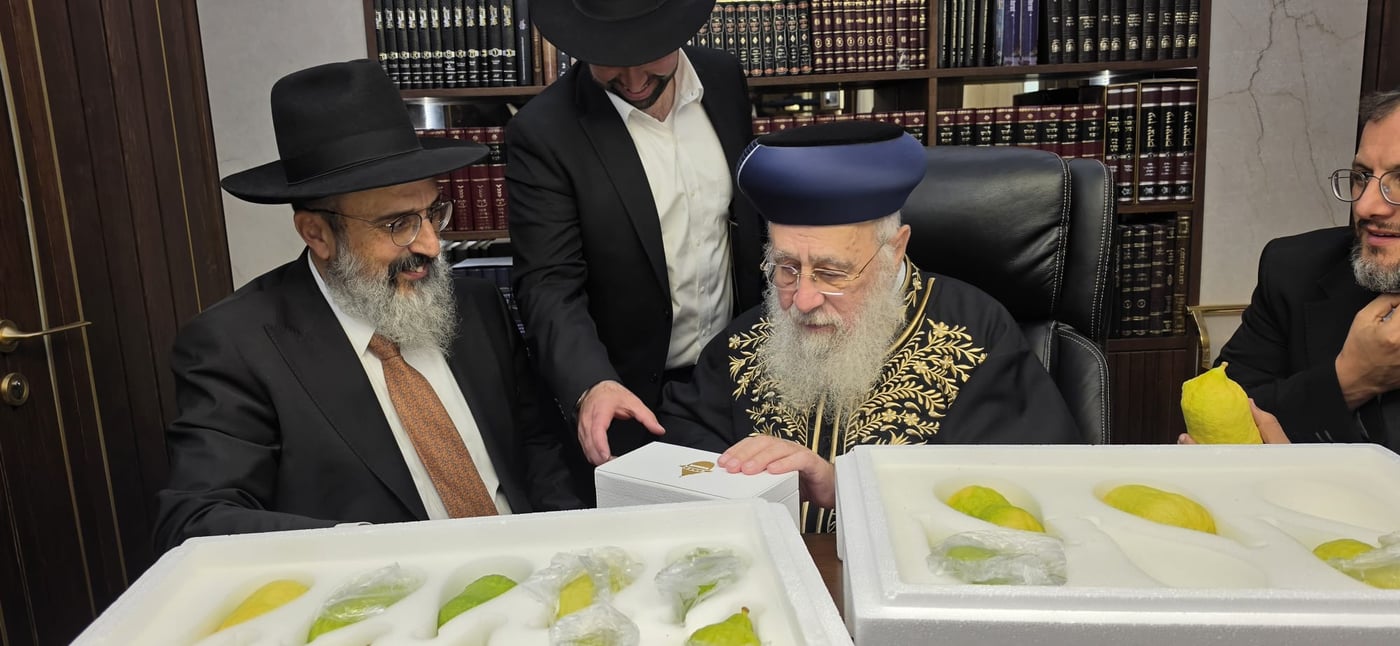 הראשון לציון הגאון רבי יצחק יוסף שליט"א בבדיקת אתרוגים | צילום: באדיבות המצלם