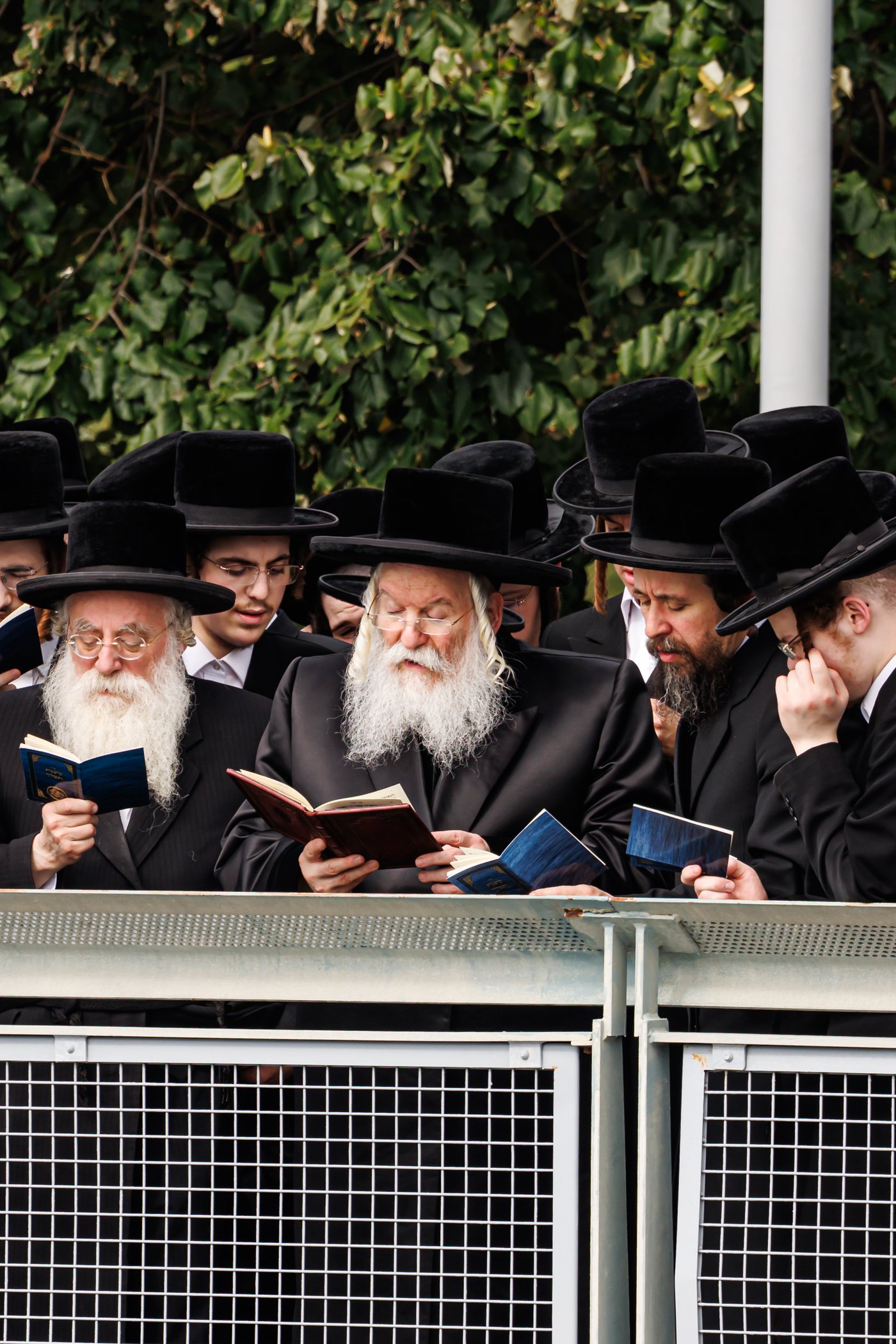 האדמו"ר מבאבוב שליט"א באמירת תשליך | צילום: אחים לאנטשעווסקי