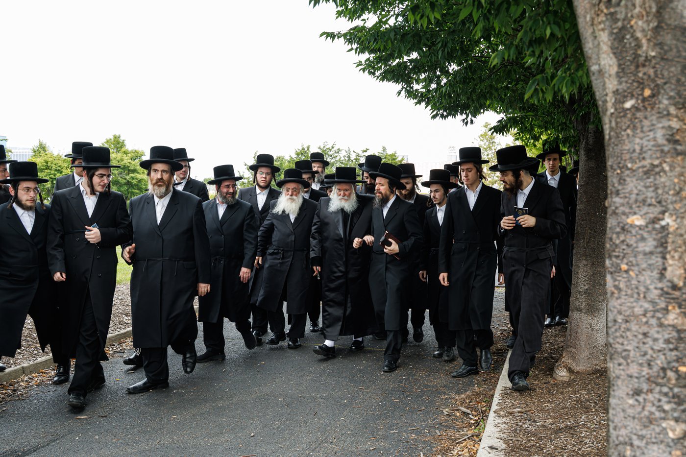 האדמו"ר מבאבוב שליט"א באמירת תשליך | צילום: אחים לאנטשעווסקי