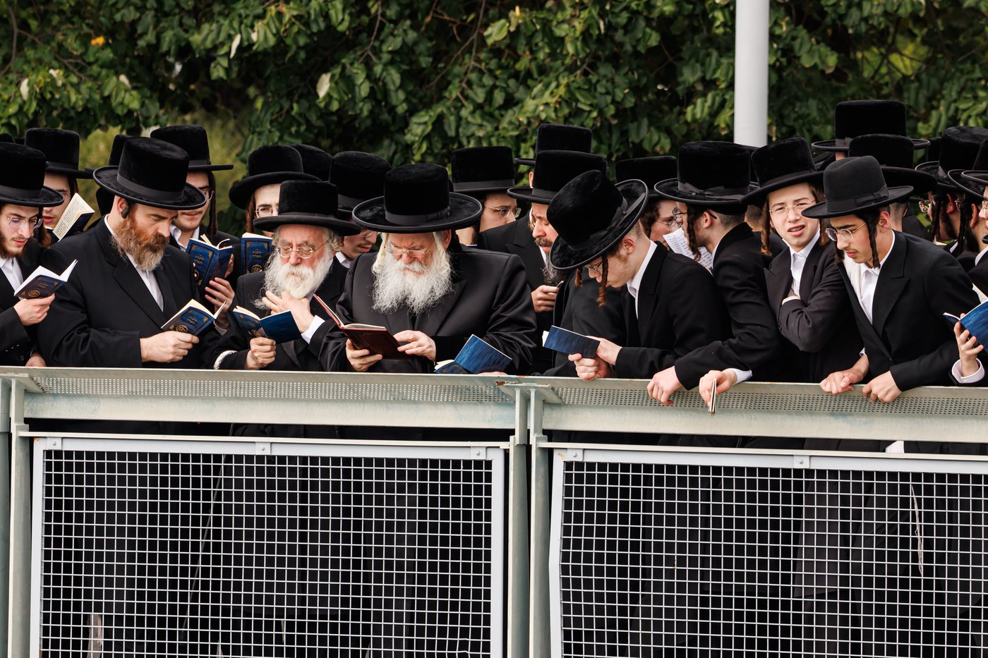האדמו"ר מבאבוב שליט"א באמירת תשליך | צילום: אחים לאנטשעווסקי