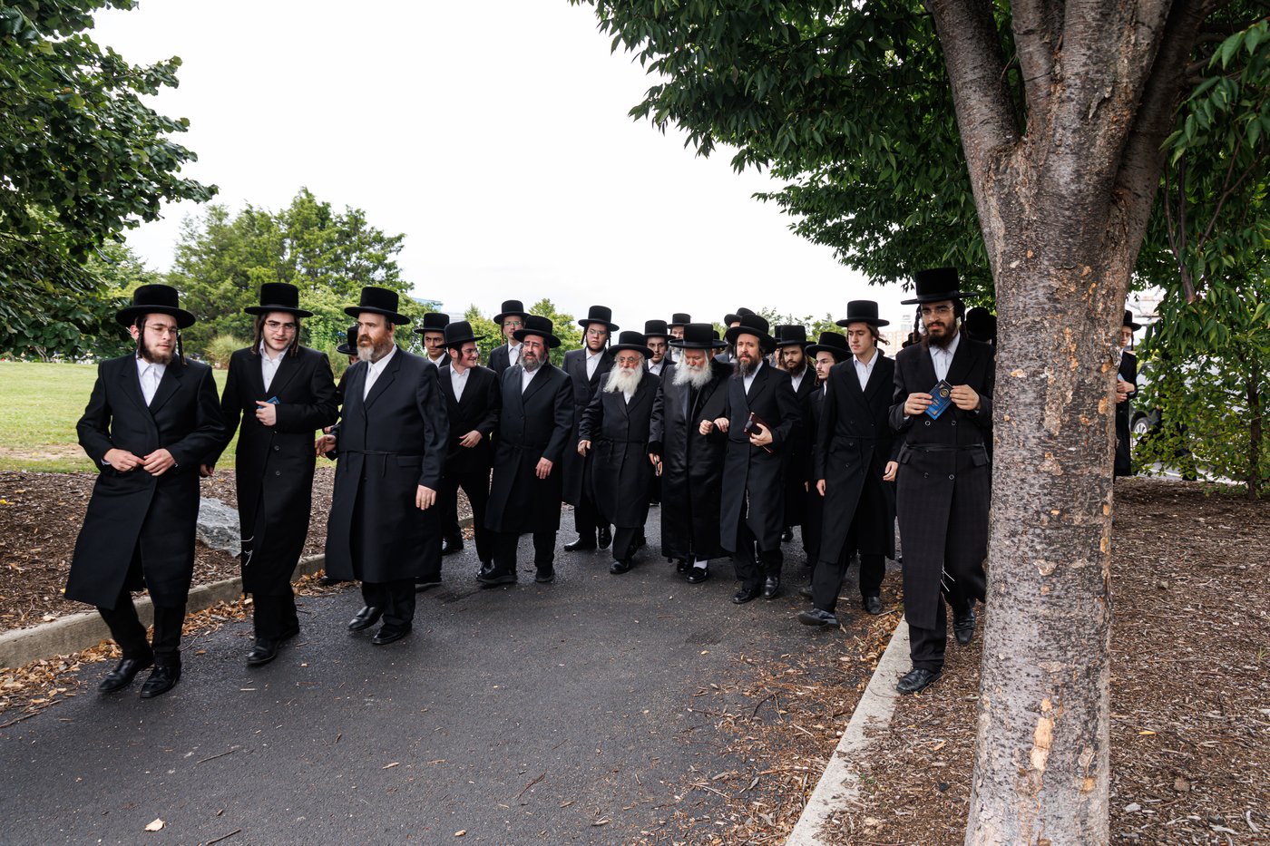 האדמו"ר מבאבוב שליט"א באמירת תשליך | צילום: אחים לאנטשעווסקי