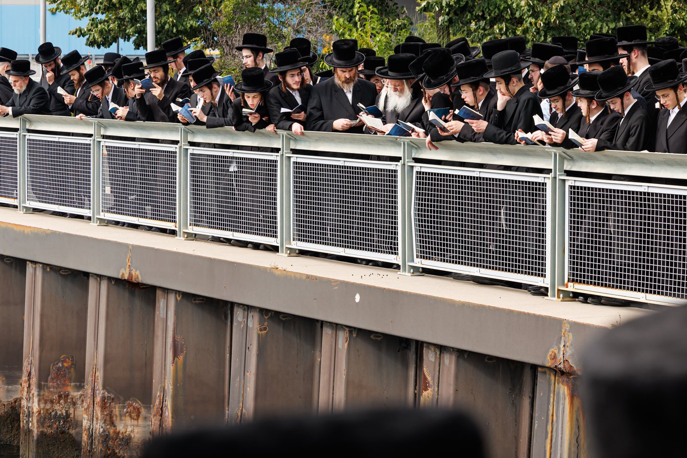 האדמו"ר מבאבוב שליט"א באמירת תשליך | צילום: אחים לאנטשעווסקי