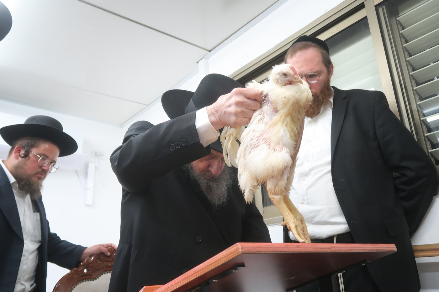 הגאון רבי דב לנדו שליט"א במנהג כפרות | צילום: מ. אדלר