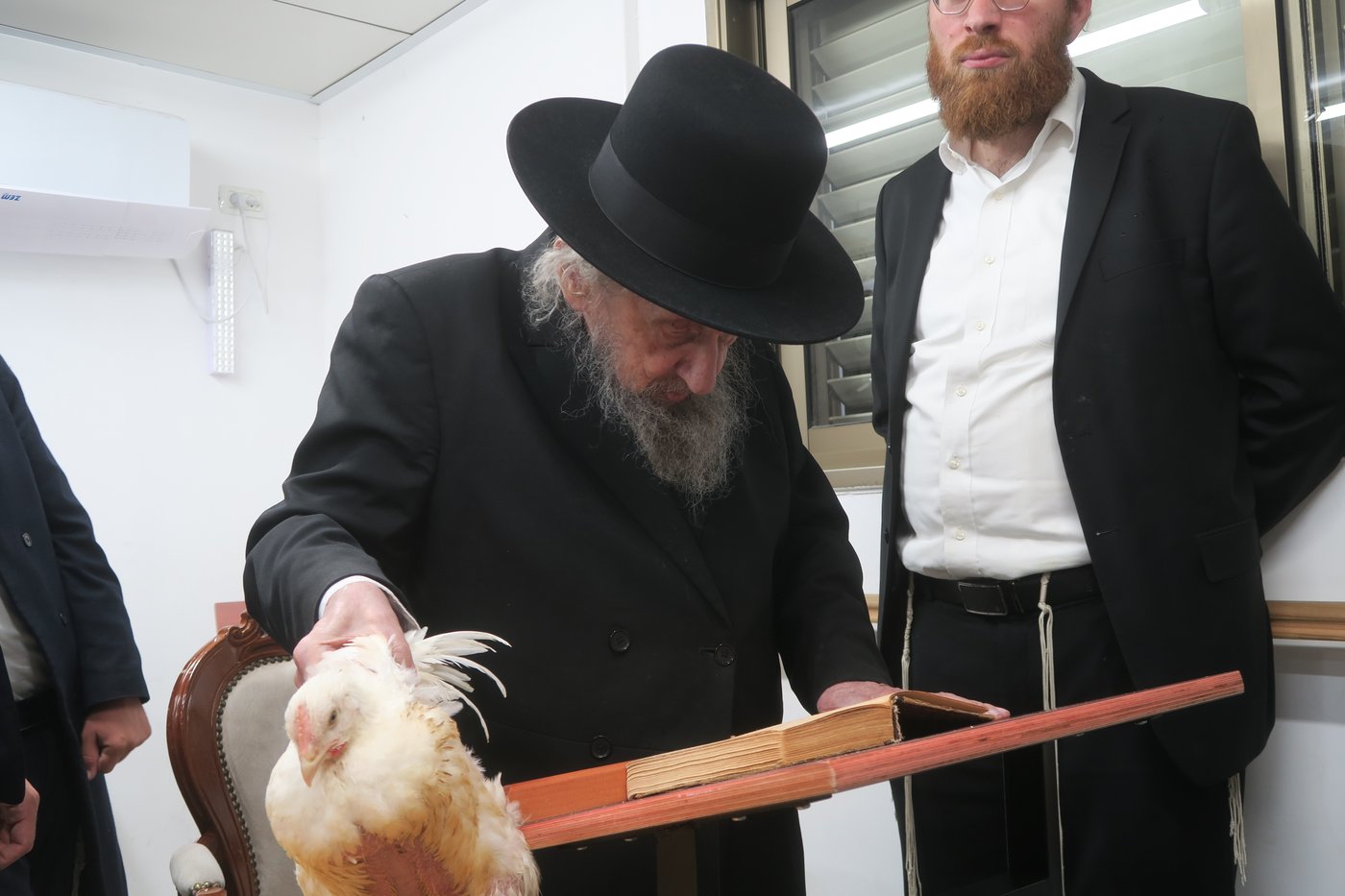 הגאון רבי דב לנדו שליט"א במנהג כפרות | צילום: מ. אדלר