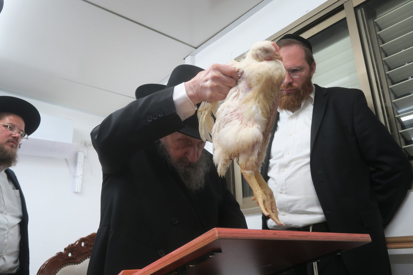 הגאון רבי דב לנדו שליט"א במנהג כפרות | צילום: מ. אדלר