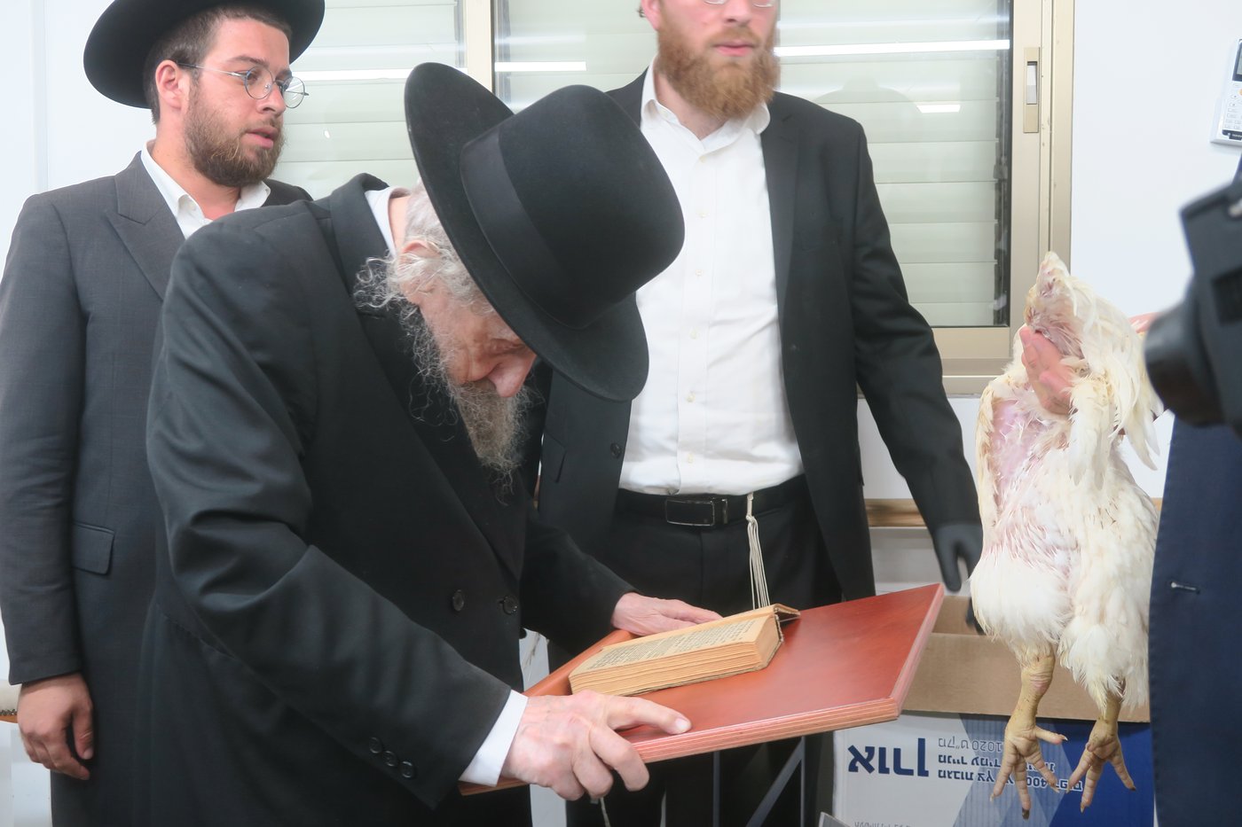 הגאון רבי דב לנדו שליט"א במנהג כפרות | צילום: מ. אדלר