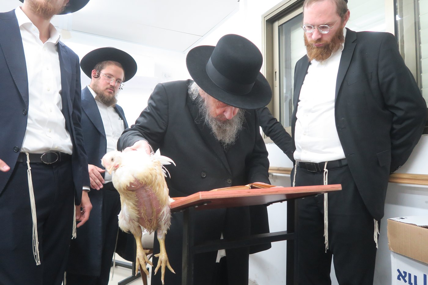 הגאון רבי דב לנדו שליט"א במנהג כפרות | צילום: מ. אדלר