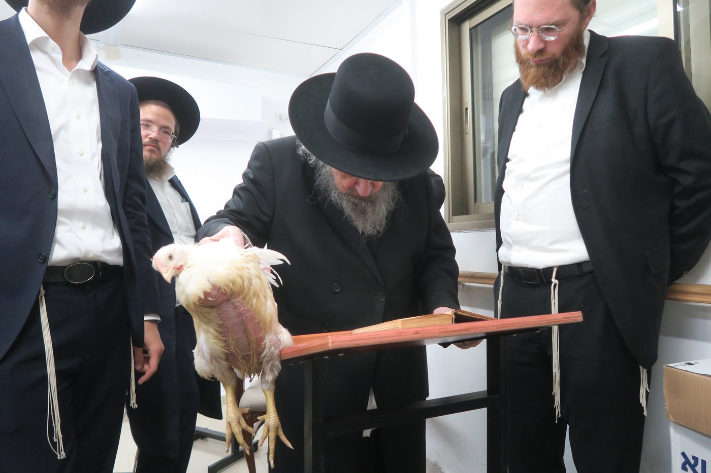 הגאון רבי דב לנדו שליט"א במנהג כפרות | צילום: מ. אדלר