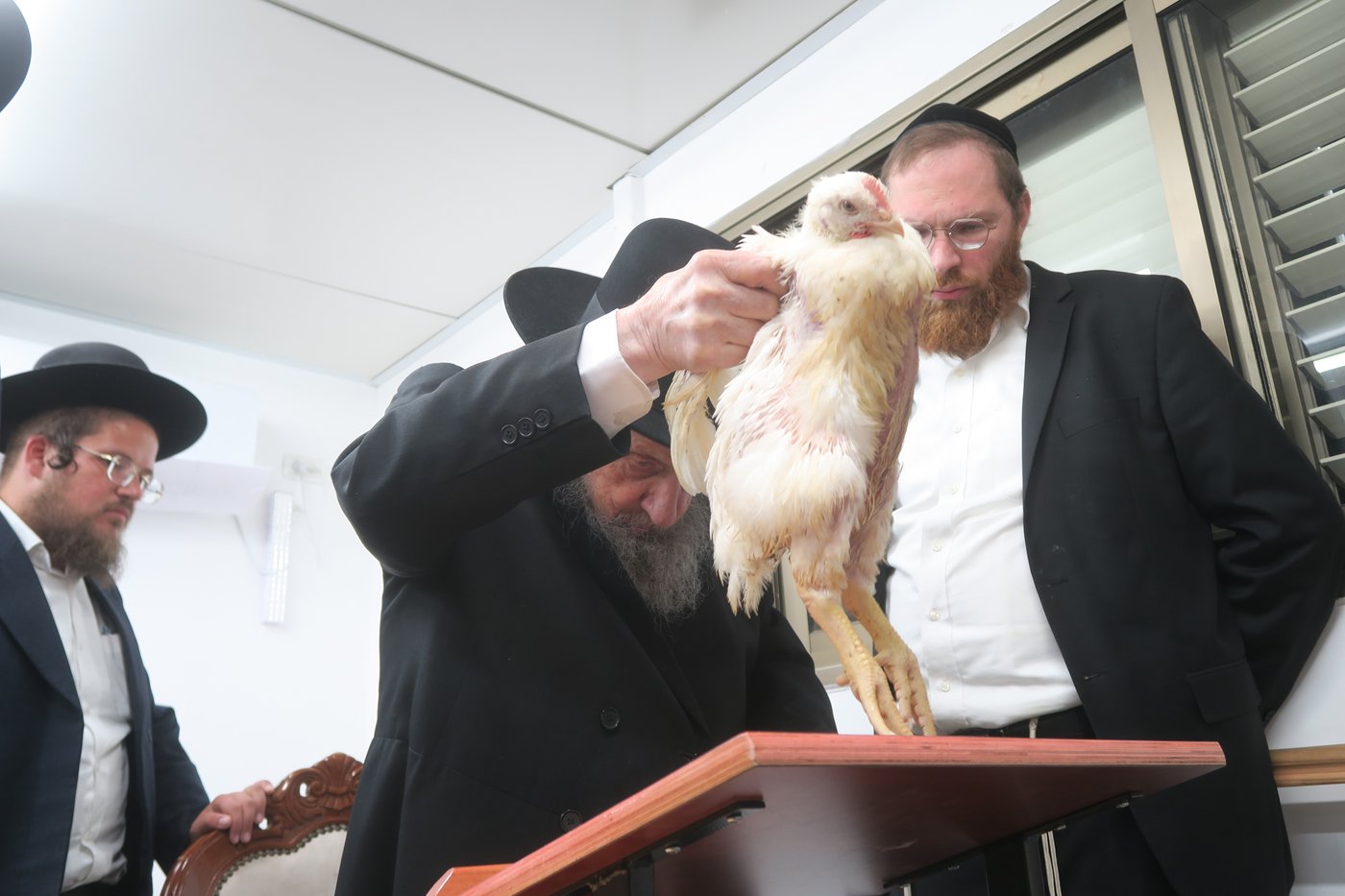 הגאון רבי דב לנדו שליט"א במנהג כפרות | צילום: מ. אדלר