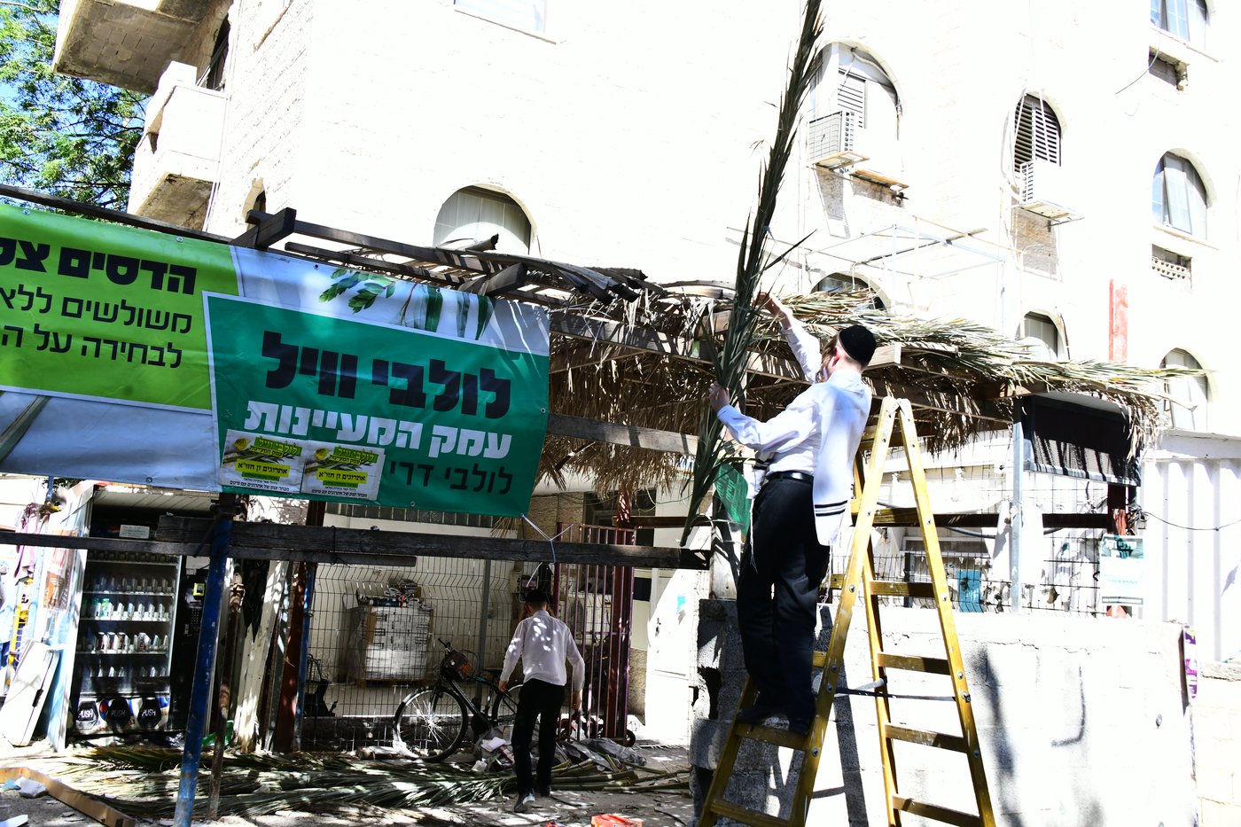 הכנות לחג הסוכות בבני ברק