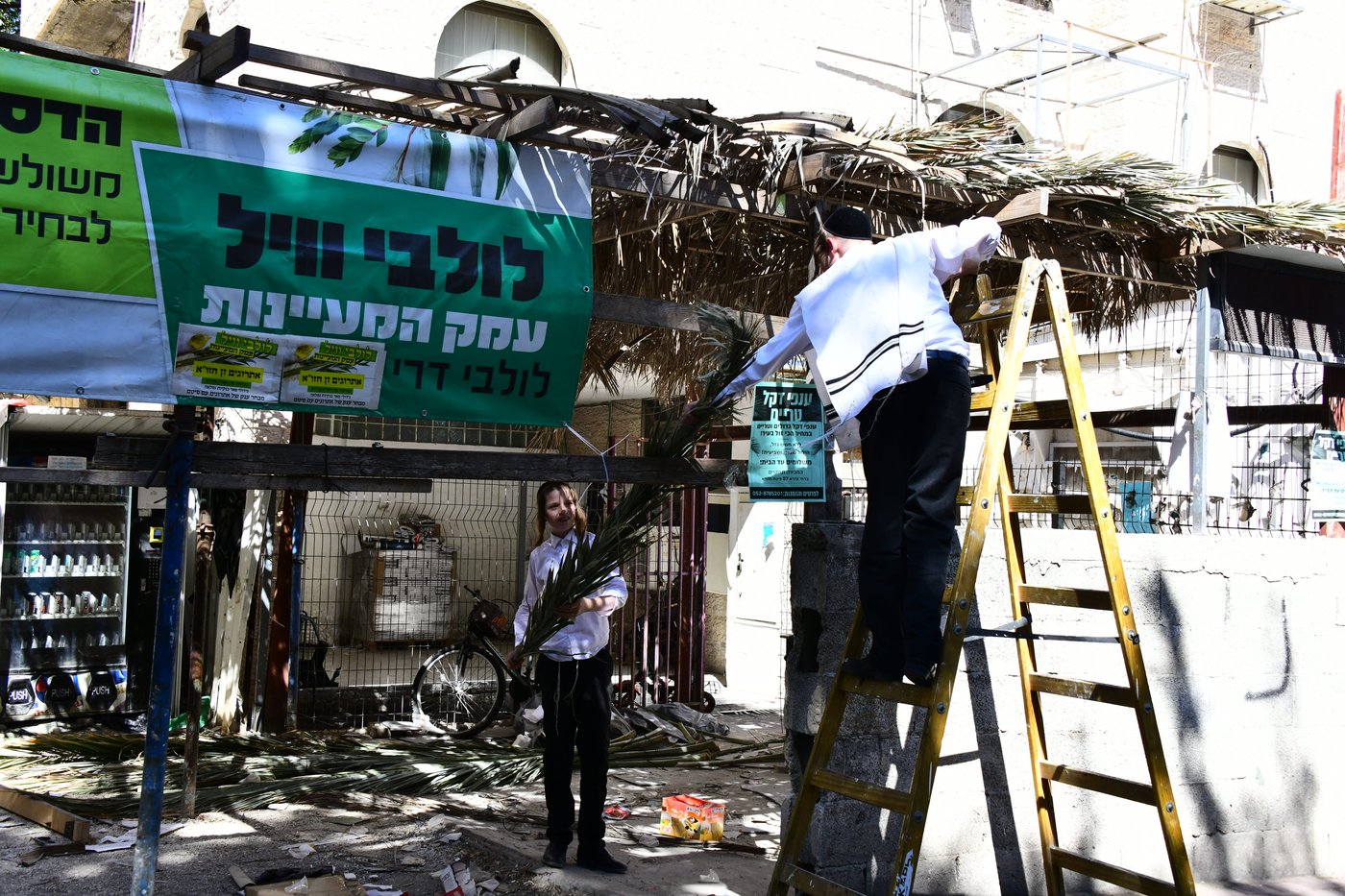 הכנות לחג הסוכות בבני ברק