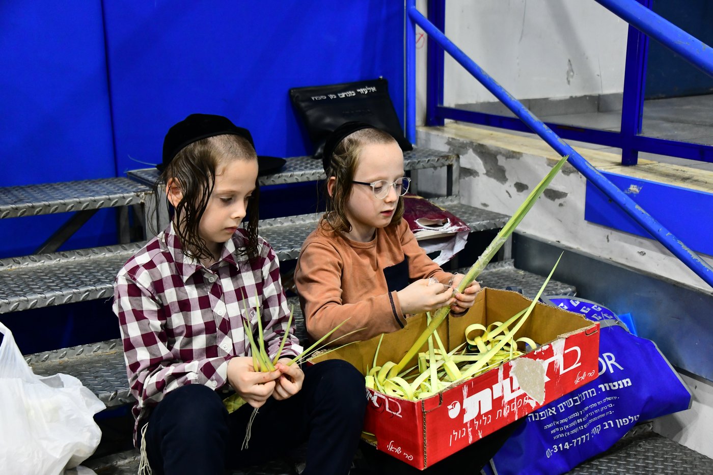 הכנות לחג הסוכות בבני ברק