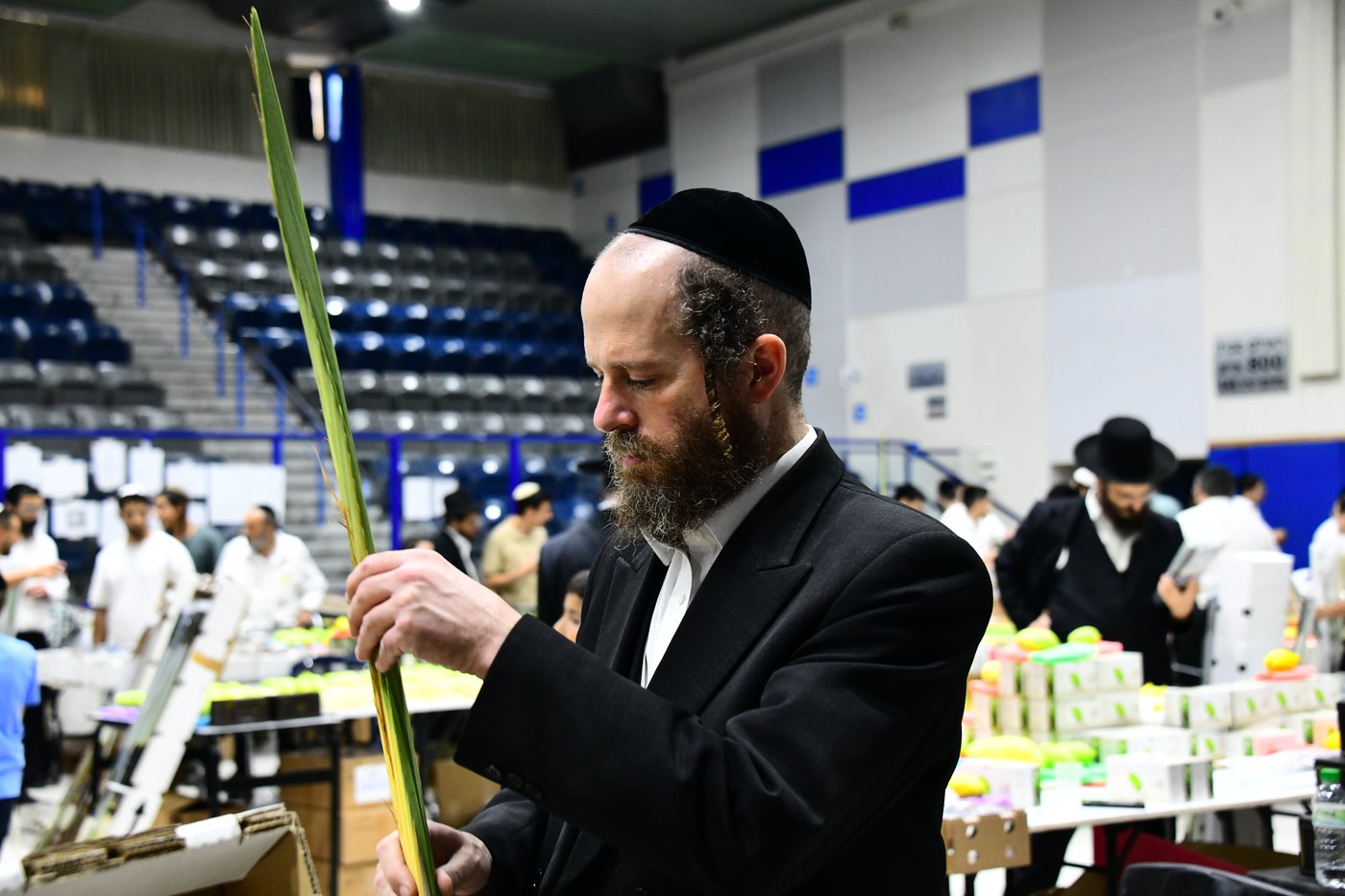 הכנות לחג הסוכות בבני ברק