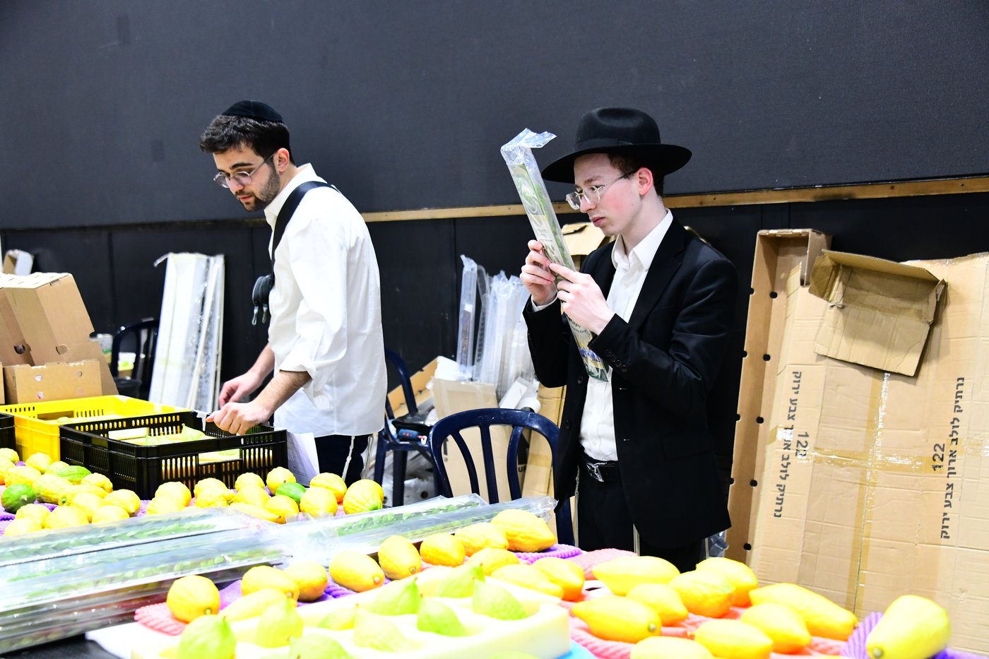 הכנות לחג הסוכות בבני ברק