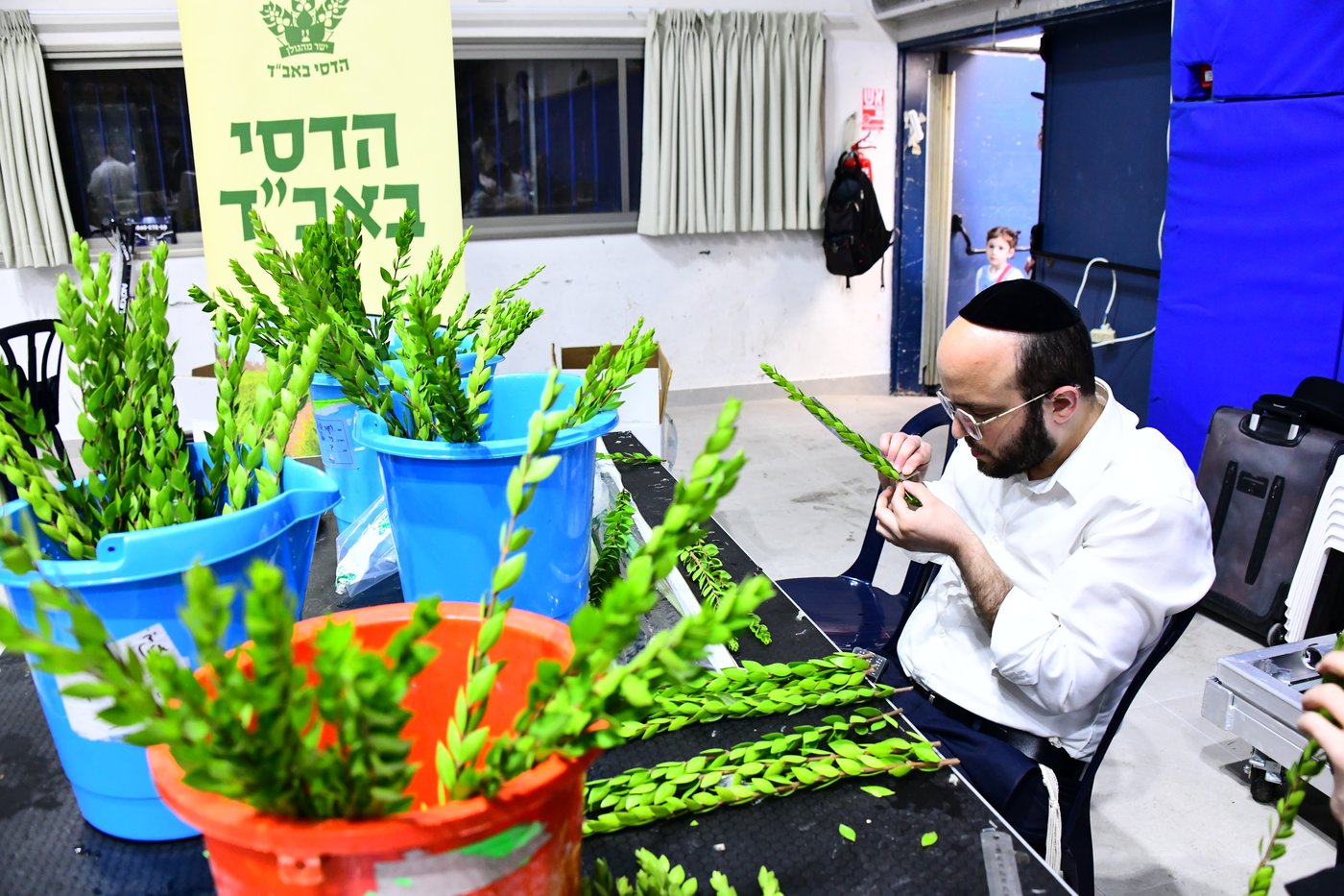 הכנות לחג הסוכות בבני ברק