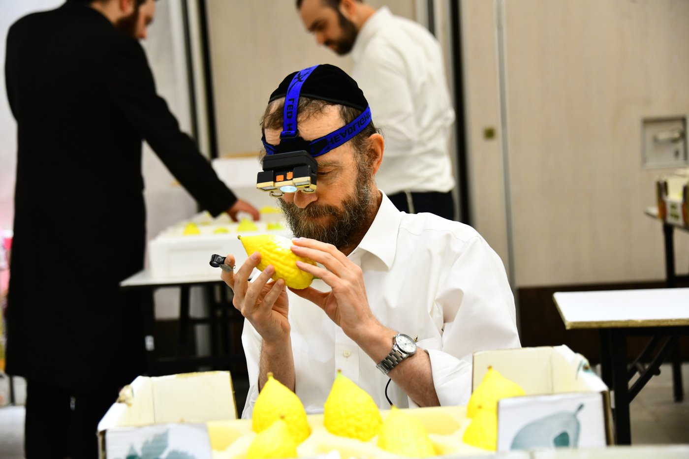 הכנות לחג הסוכות בבני ברק