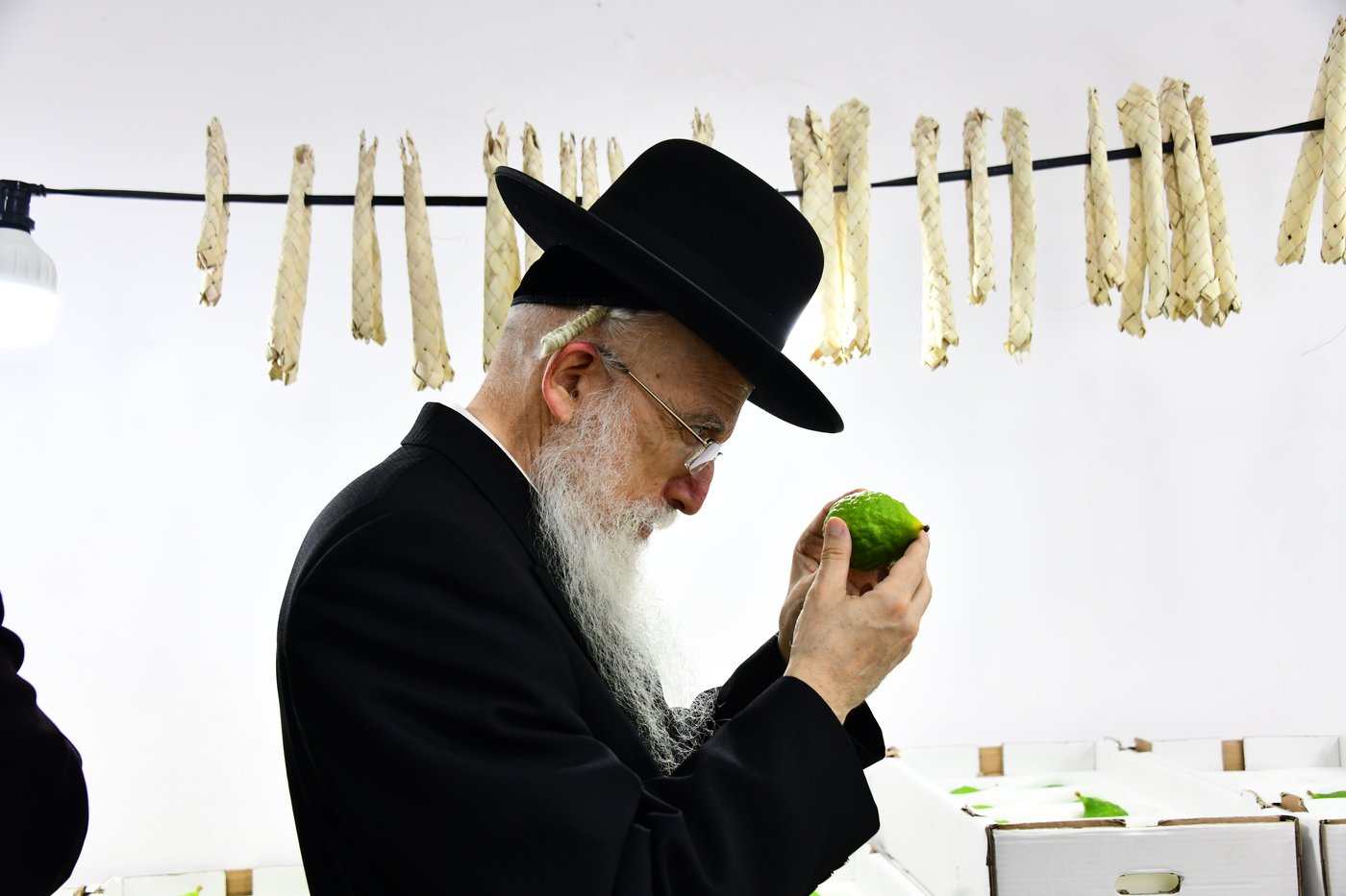 הכנות לחג הסוכות בבני ברק