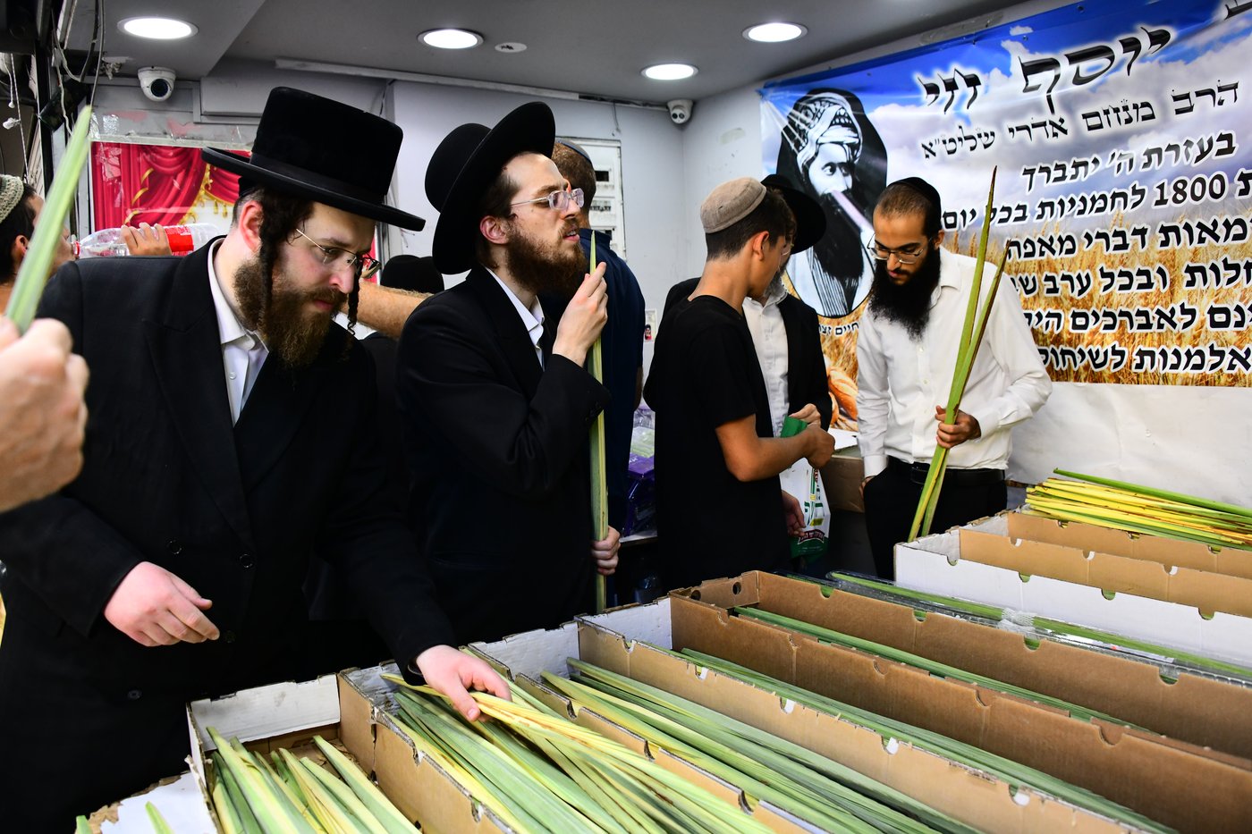 הכנות לחג הסוכות בבני ברק