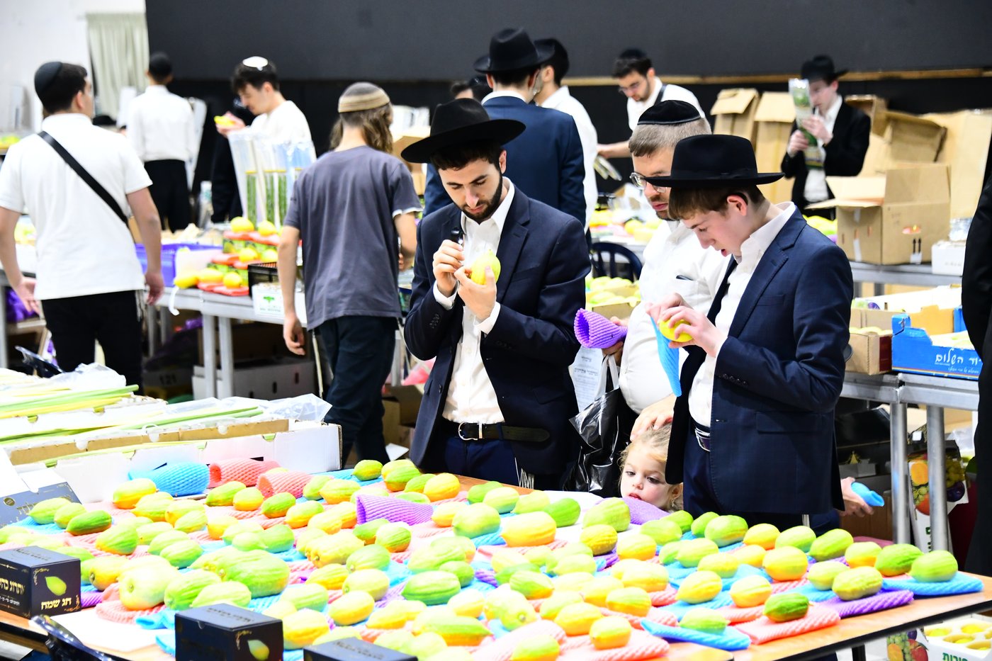 הכנות לחג הסוכות בבני ברק