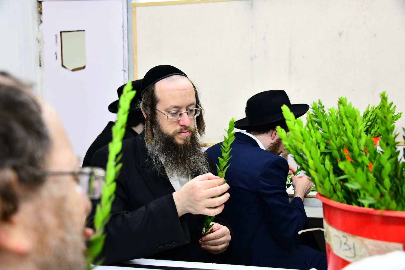 הכנות לחג הסוכות בבני ברק