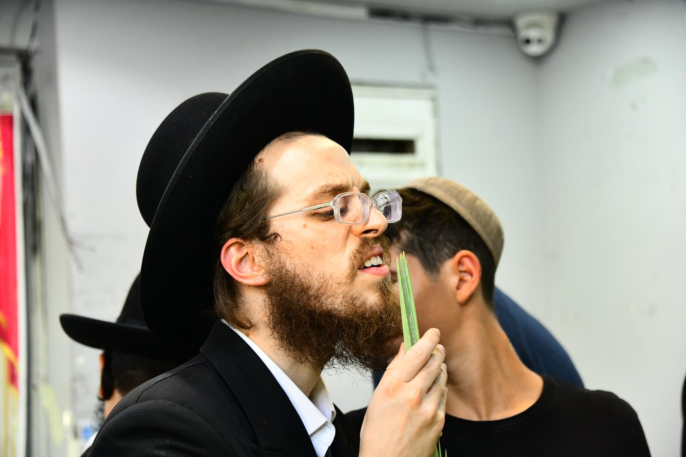 הכנות לחג הסוכות בבני ברק