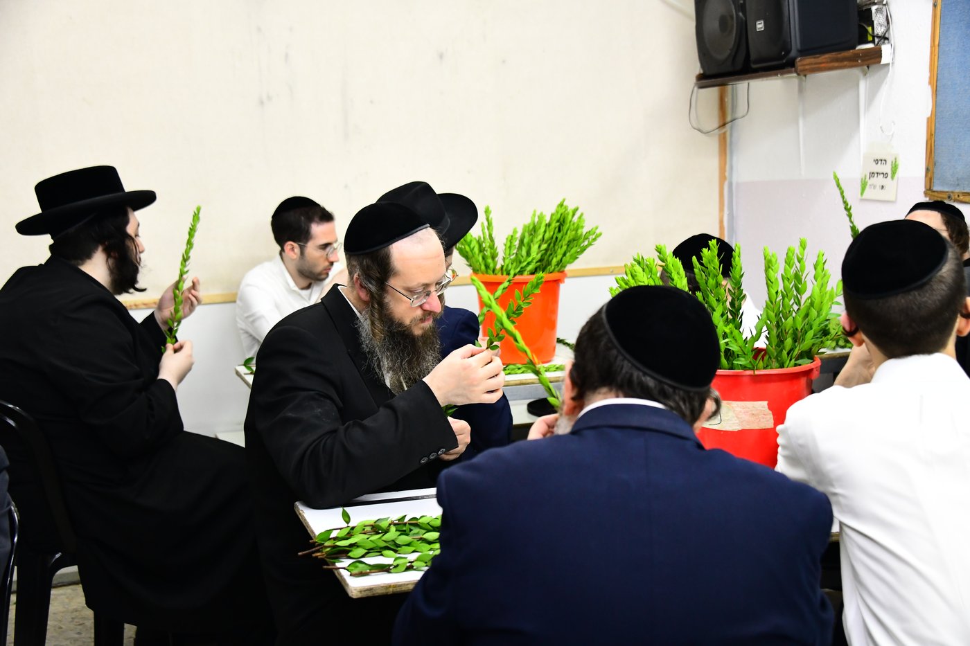 הכנות לחג הסוכות בבני ברק