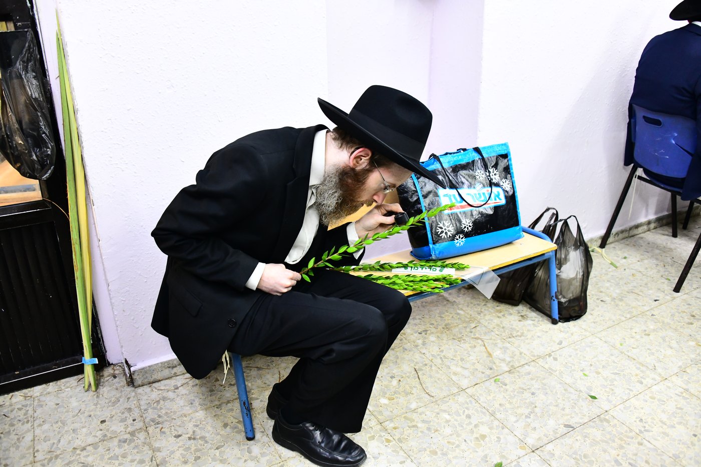 הכנות לחג הסוכות בבני ברק
