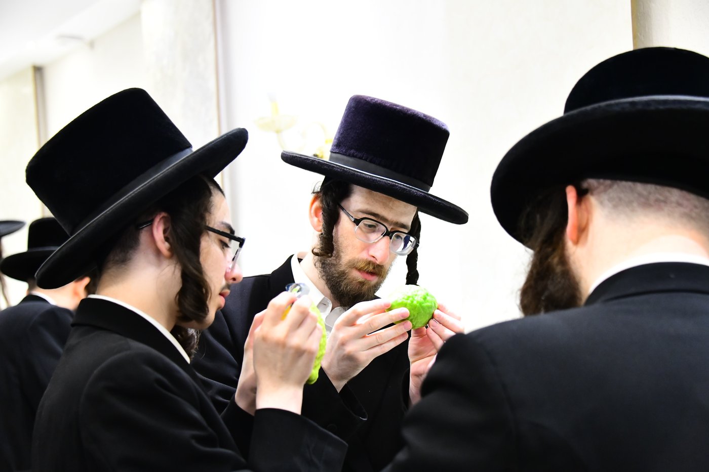 הכנות לחג הסוכות בבני ברק