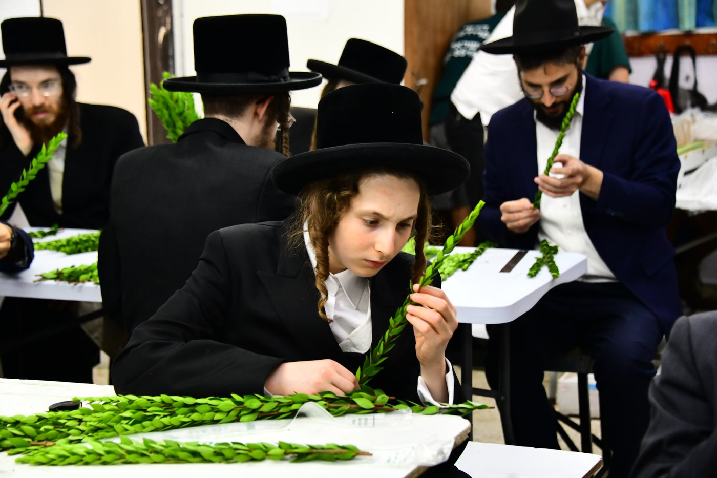 הכנות לחג הסוכות בבני ברק