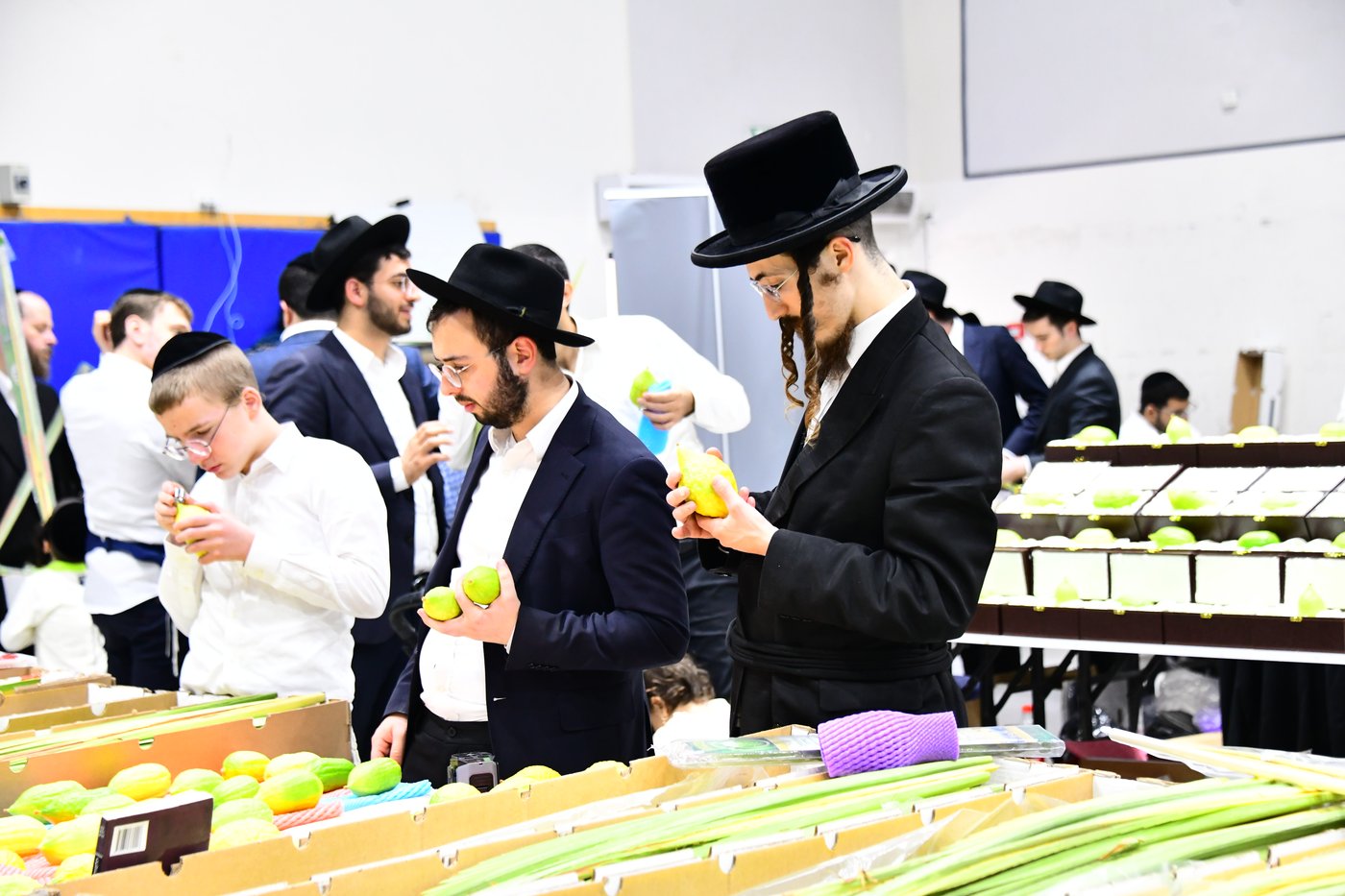 הכנות לחג הסוכות בבני ברק